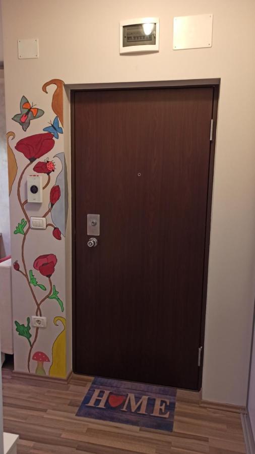 Cozy Home Bujorilor 티미쇼아라 외부 사진