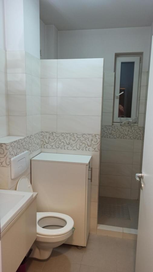 Cozy Home Bujorilor 티미쇼아라 외부 사진